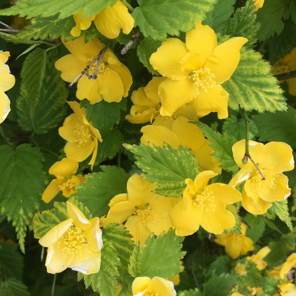 Meet your Posher, Terry - Picture 8 of 16